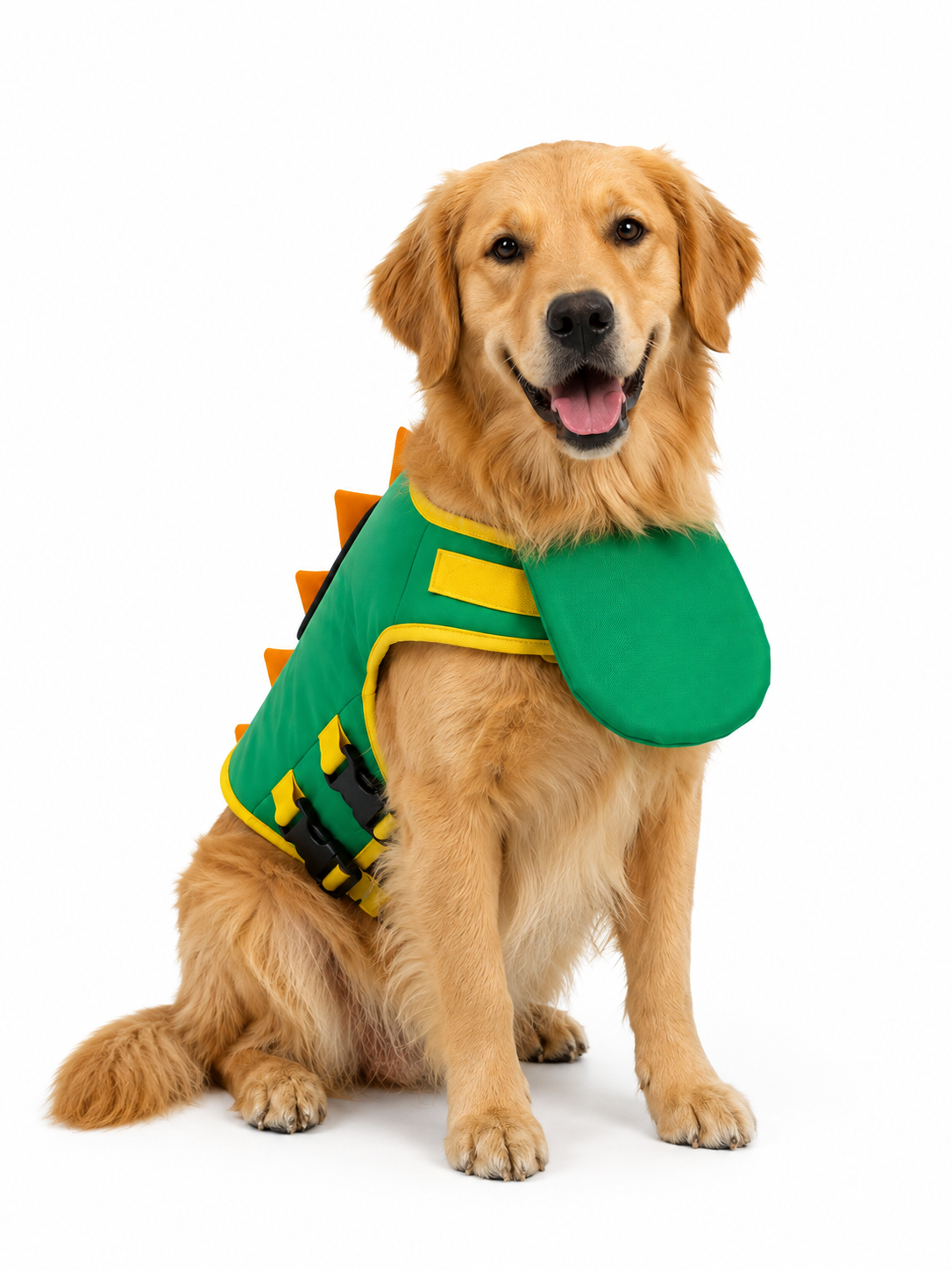 Dog wearing AQUZIO vest